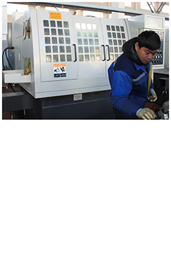 2018 OEM Needle Bearing Scrambler For Agricultural Machinery Parts replacement(图23)