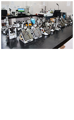 2018 OEM Needle Bearing Scrambler For Agricultural Machinery Parts replacement(图18)