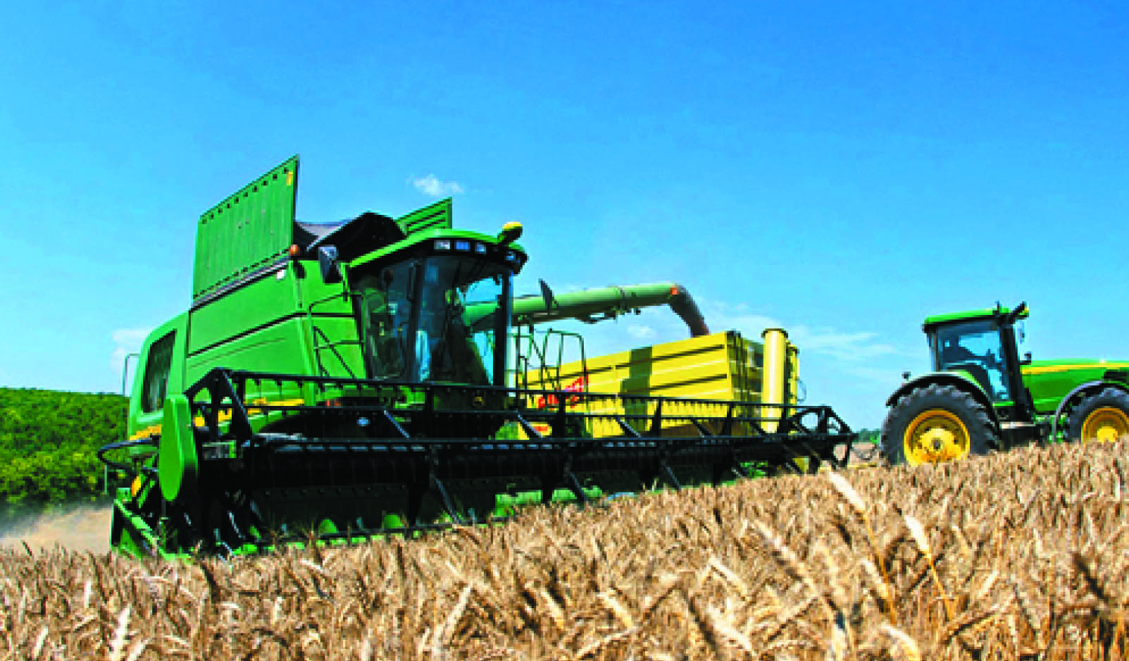 Straw Chopper Blade Cutting Blade Combine Harvester(图3)